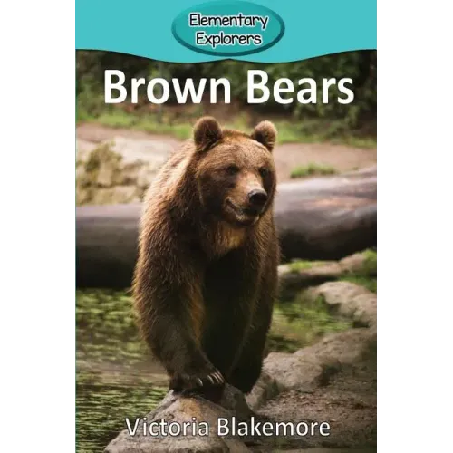 Brown Bears