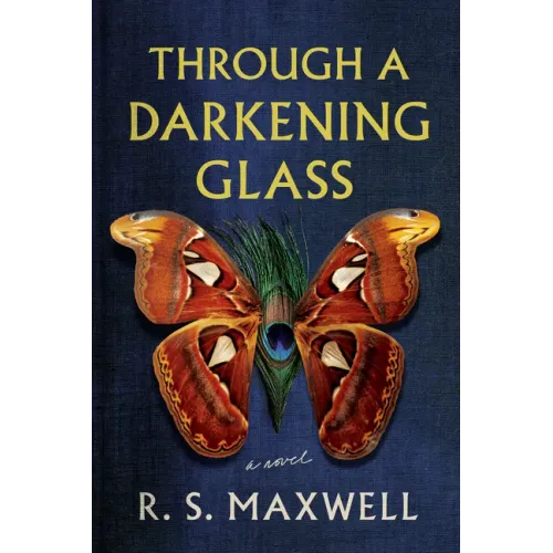 Through a Darkening Glass