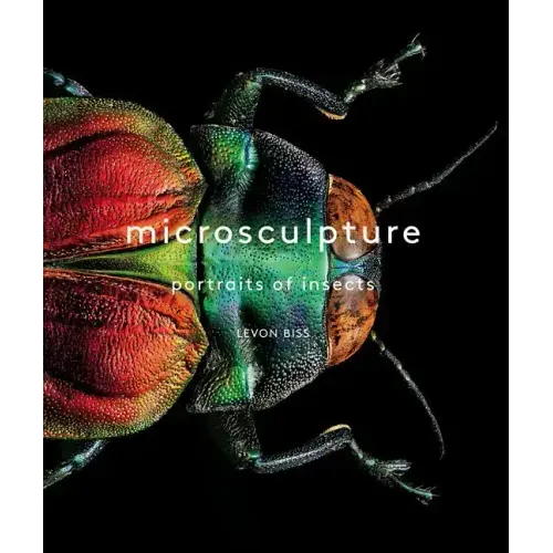 Microsculpture: Portraits of Insects