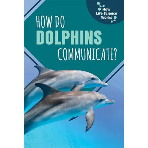 How Do Dolphins Communicate?