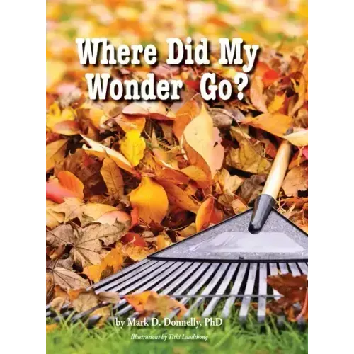 Where Did My Wonder Go?