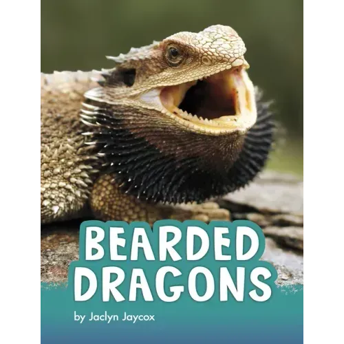 Bearded Dragons
