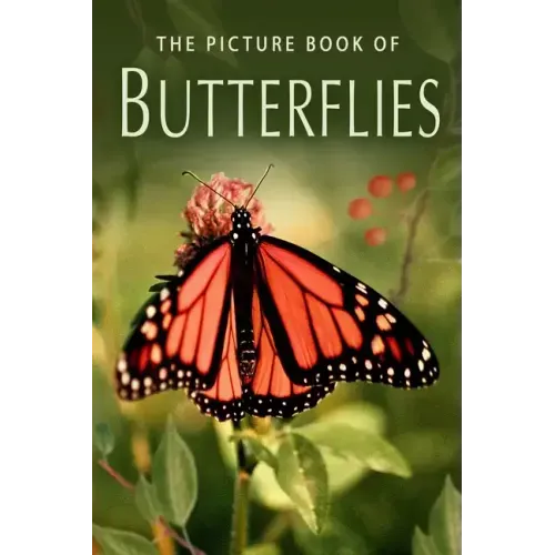 The Picture Book of Butterflies: A Gift Book for Alzheimer's Patients and Seniors with Dementia