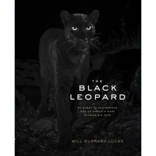 The Black Leopard: My Quest to Photograph One of Africa's Most Elusive Big Cats