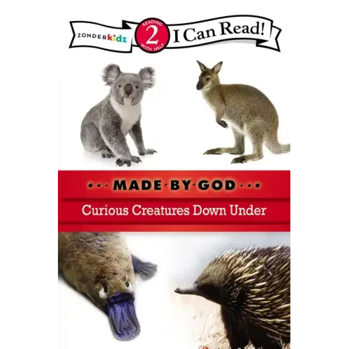 Curious Creatures Down Under: Level 2
