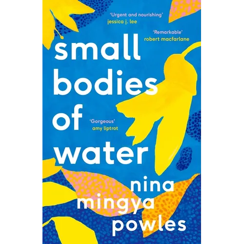 Small Bodies of Water