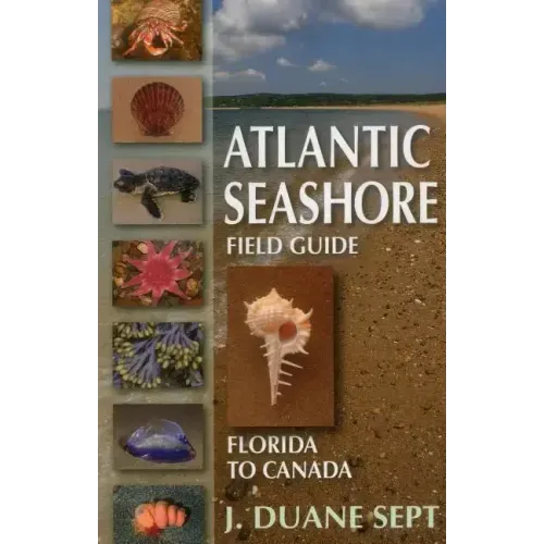 Atlantic Seashore Field Guide: Florida to Canada