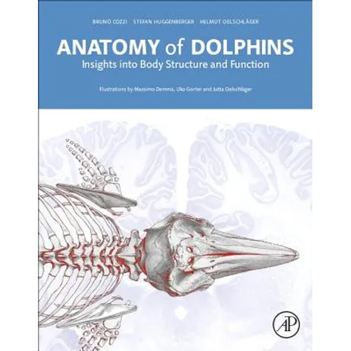 Anatomy of Dolphins: Insights Into Body Structure and Function