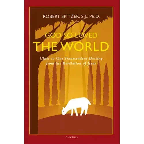God So Loved the World: Clues to Our Transcendent Destiny from the Revelation of Jesus