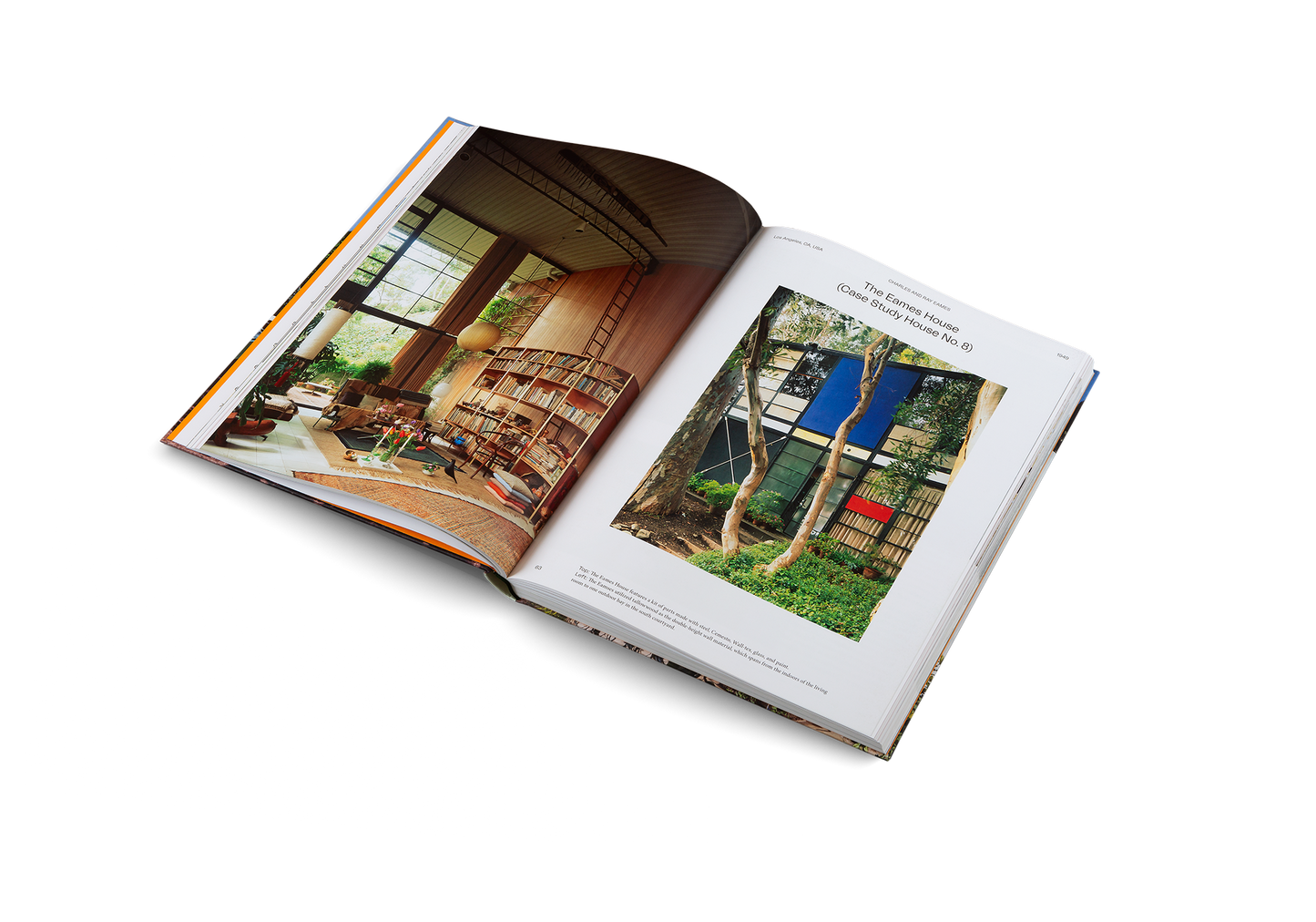 Modernist Icons Book