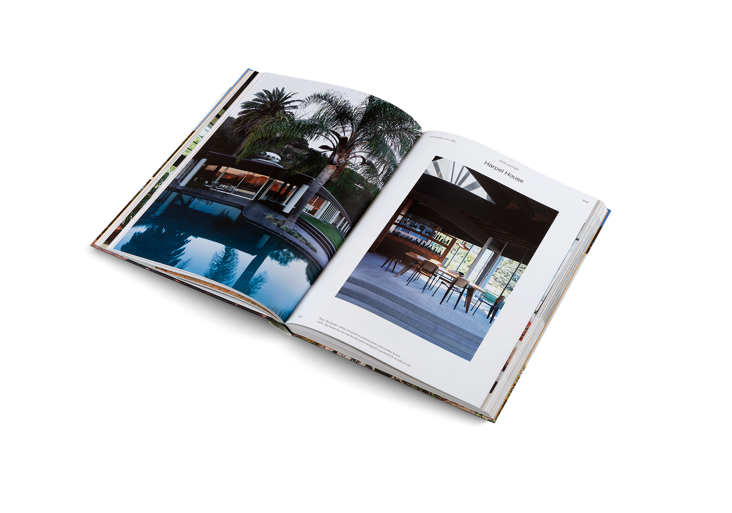 Modernist Icons Book