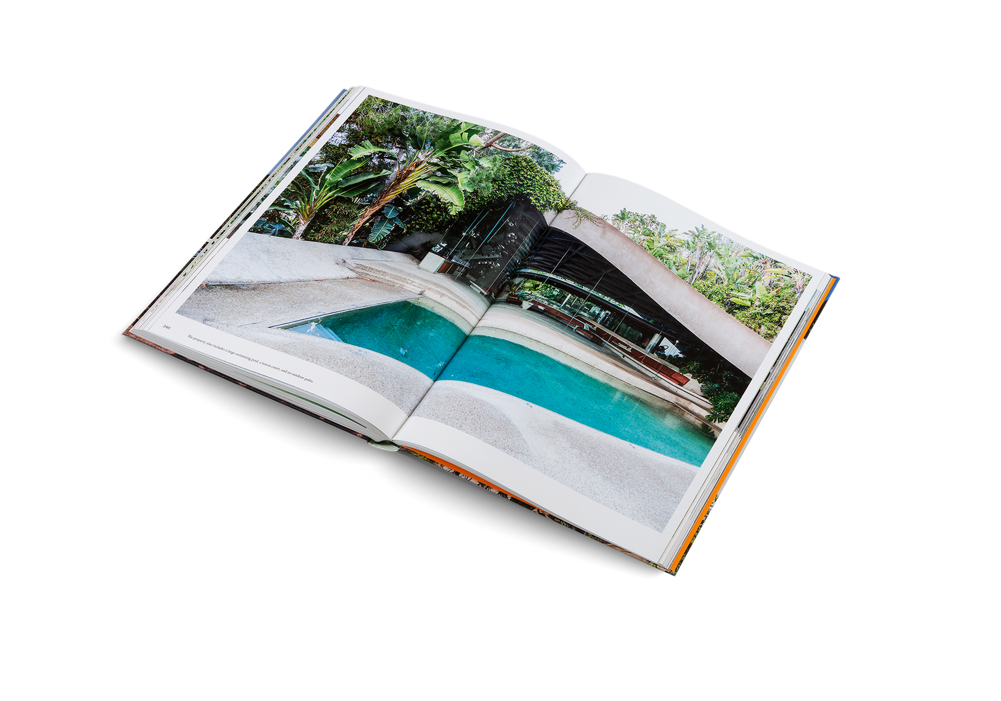 Modernist Icons Book