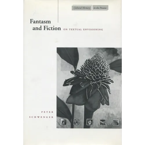 Fantasm and Fiction: On Textual Envisioning