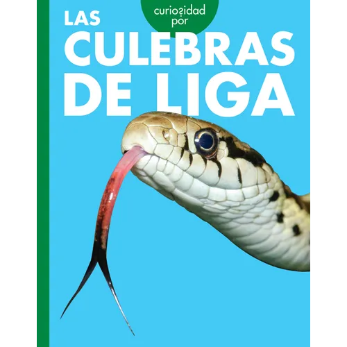 Curiosidad Por Las Culebras de Liga