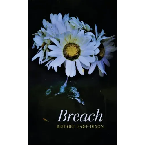 Breach