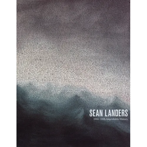 Sean Landers: 1990-1995, Improbable History