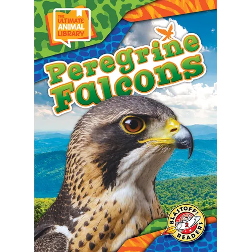 Peregrine Falcons