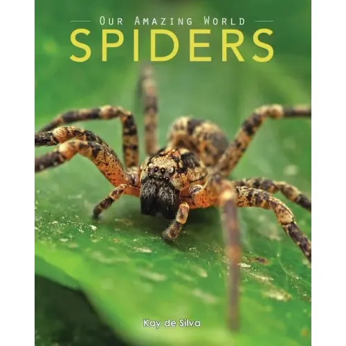 Spiders: Amazing Pictures & Fun Facts on Animals in Nature