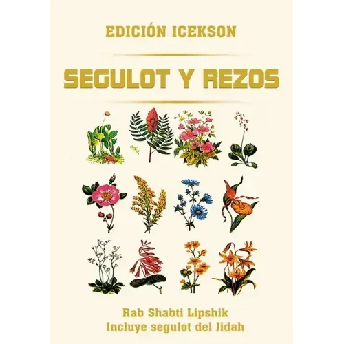 Segulot y Rezos