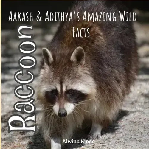 Raccoon: Aakash and Adithya's Wild Facts