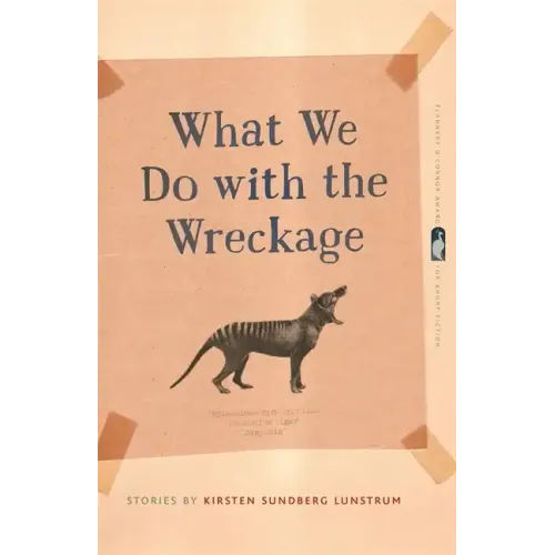 What We Do with the Wreckage: Stories