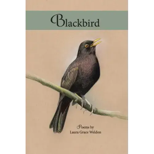 Blackbird: poems