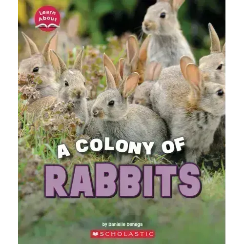 A Colony of Rabbits (Learn About: Animals)