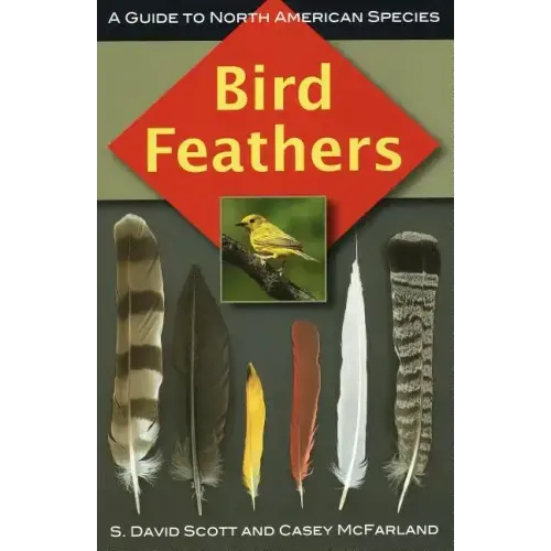 Bird Feathers: A Guide to North American Species