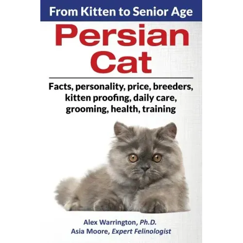Persian Cat: From Kitten to Senior Age
