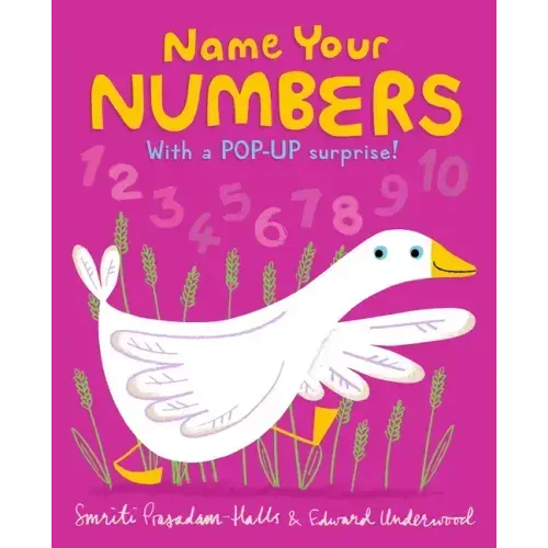 Name Your Numbers