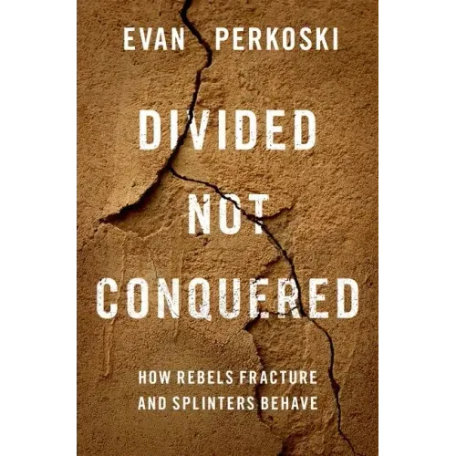 Divided Not Conquered: How Rebels Fracture and Splinters Behave