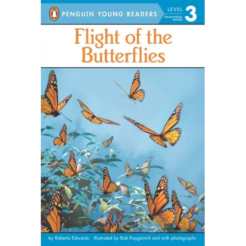 Flight of the Butterflies