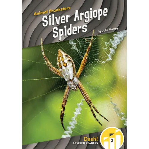 Silver Argiope Spiders
