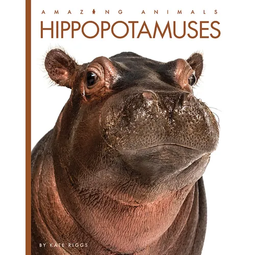 Hippopotamuses