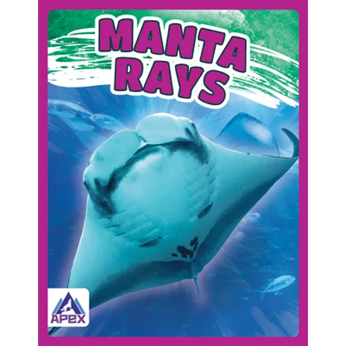 Manta Rays