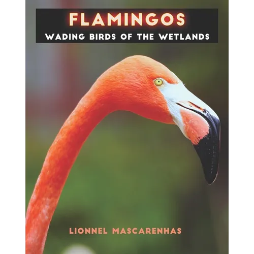 Flamingos: Wading birds of the wetlands