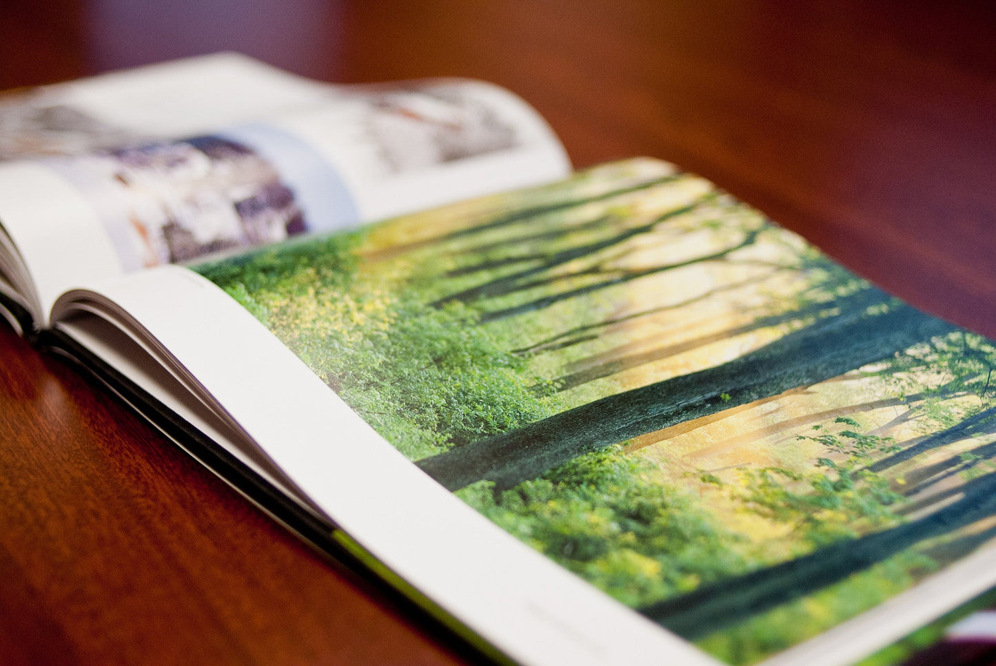 Capture Central Oregon Book