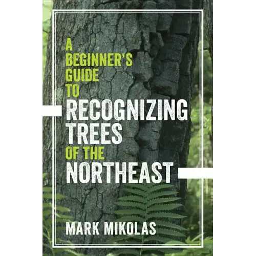A Beginner's Guide to Recognizing Trees of the Northeast
