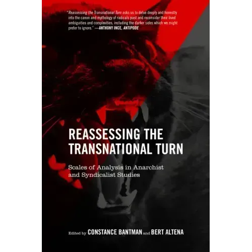 Reassessing the Transnational Turn: Scales of Analysis in Anarchist and Syndicalist Studies