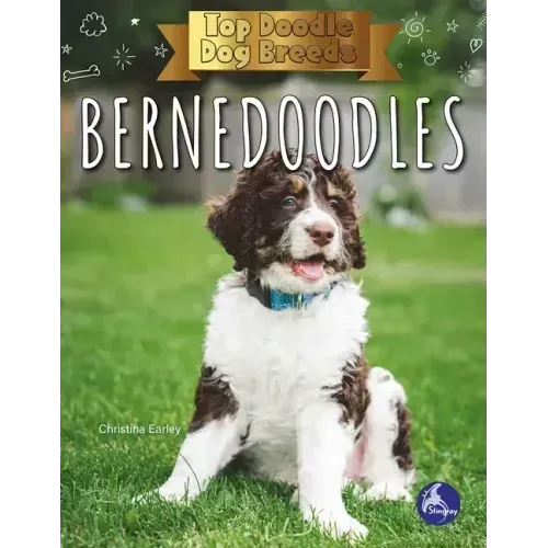 Bernedoodles