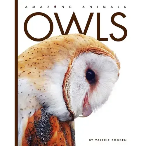 Owls