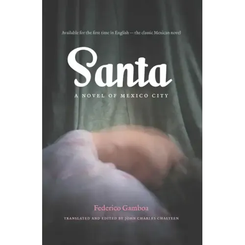 Santa: A Novel of Mexico City