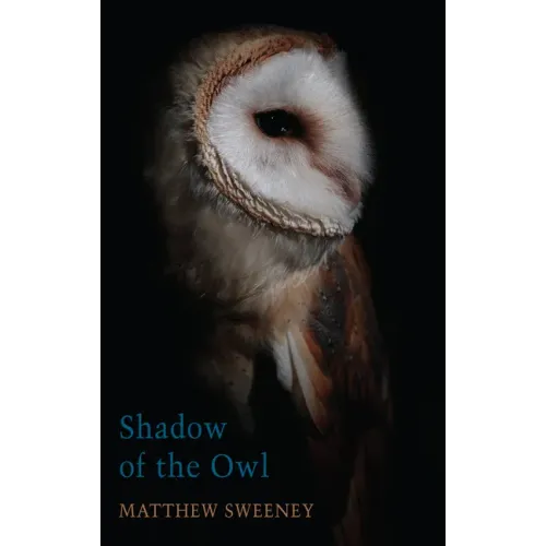 Shadow of the Owl