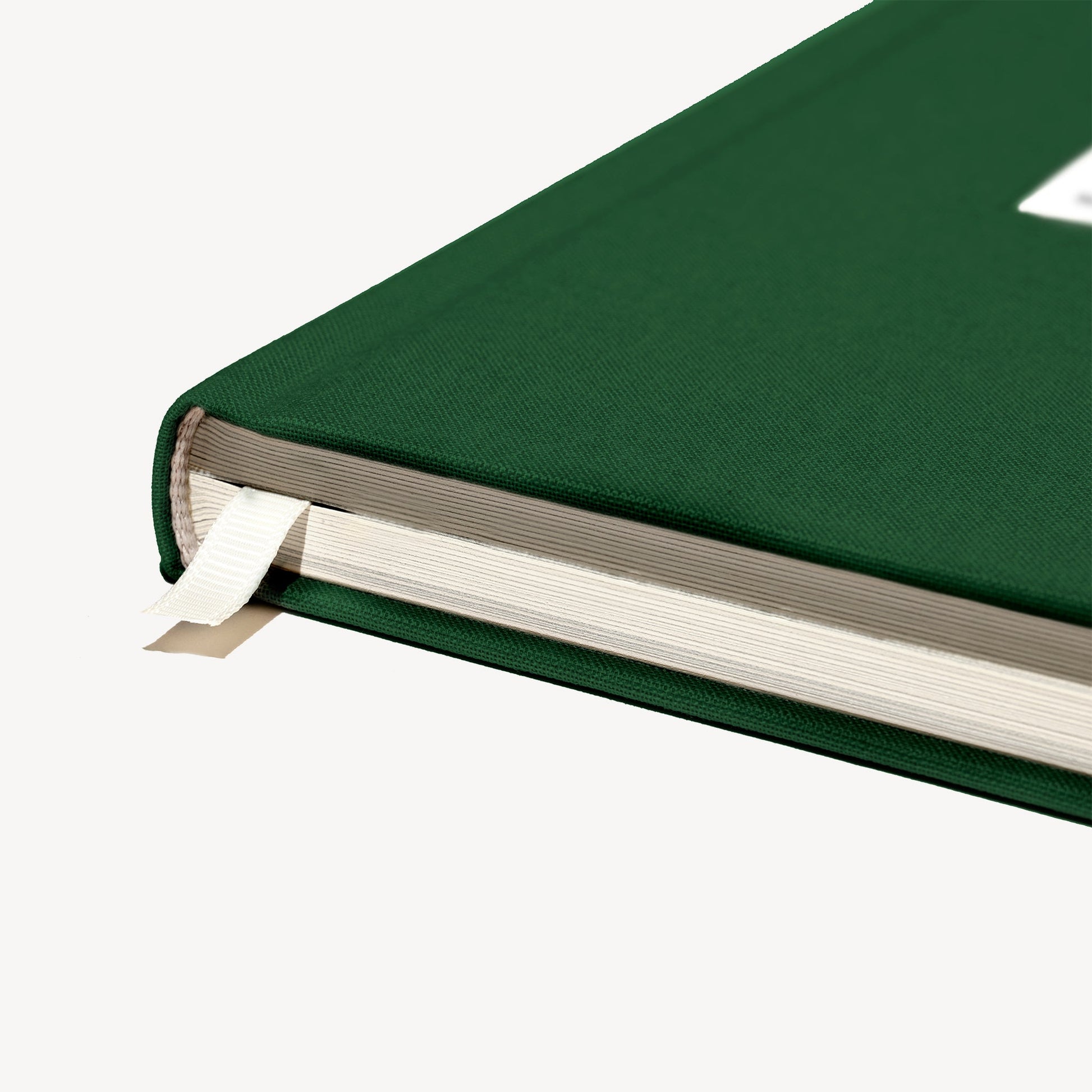 The Field Guide for Depression Therapy Notebook