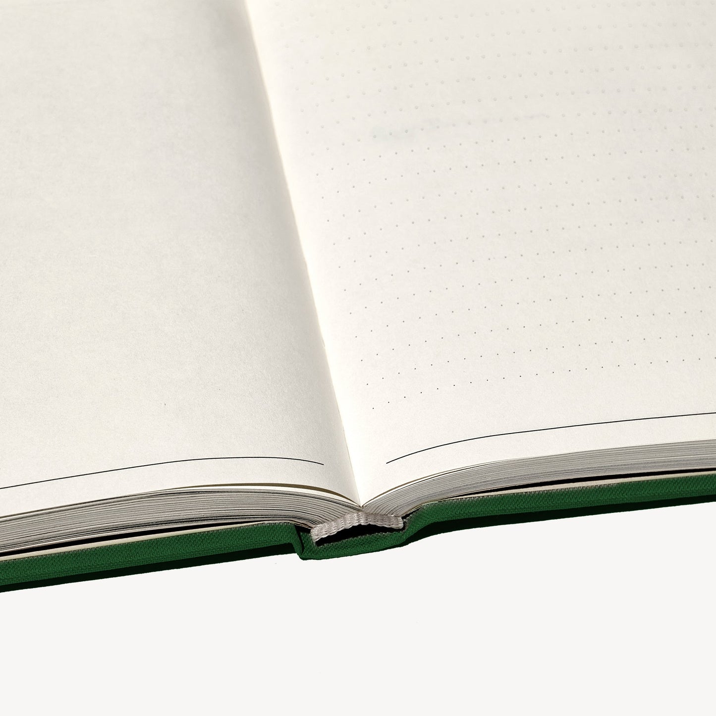 The Field Guide for Depression Therapy Notebook