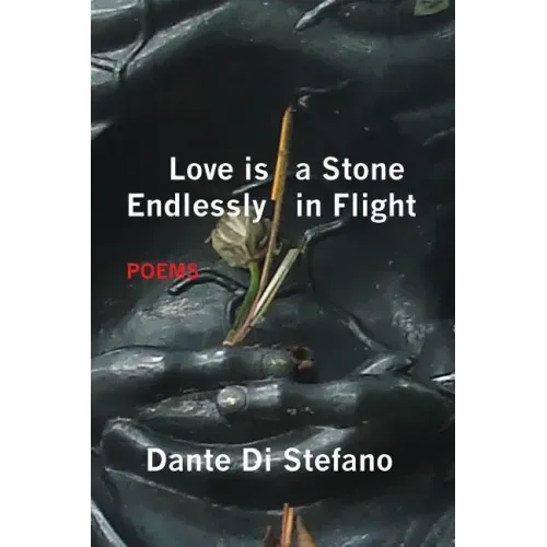 Love Is a Stone Endlessly in Flight: Poems