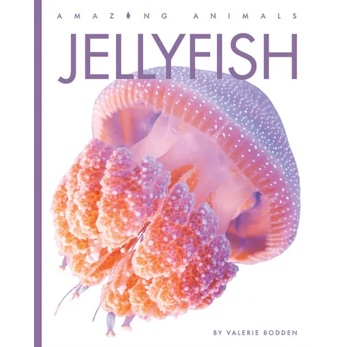 Jellyfish