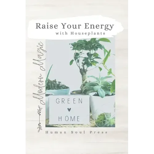 Raise Your Energy with House Plants
