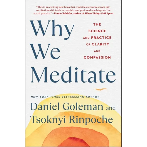 Why We Meditate: The Science and Practice of Clarity and Compassion