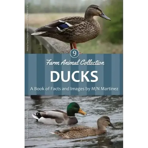 Ducks